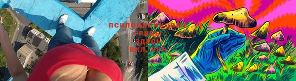 COCAINE Горно-Алтайск