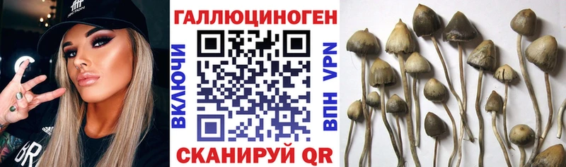 Псилоцибиновые грибы GOLDEN TEACHER  Плавск 